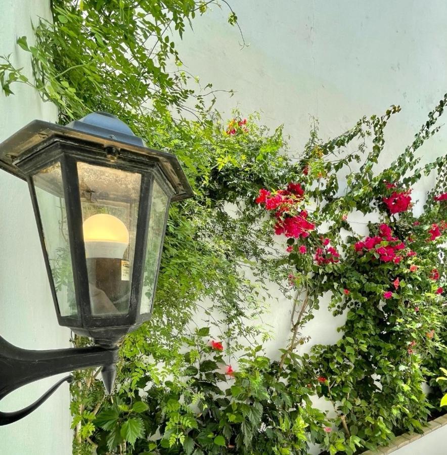 Gatu Premium Apartamento Palacio Oneto Con Jardin Privado " Preferente Mayores De 25 Anos Y Familias " El Puerto de Santa María Exteriér fotografie